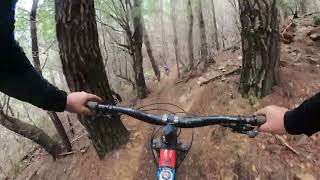 Wairoa Gorge, Nelson - Gorgeous Riding - ...