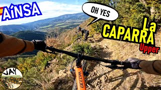 AINSA Trail Highlight: La Caparra Upper /...