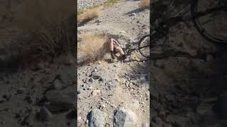 Awful mountain biking fail Crash #shorts