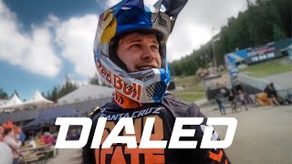 DIALED S4-EP23: Fine tuning for qualifiers in...