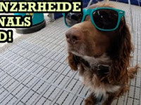 LENZERHEIDE FINALS LSD !!!