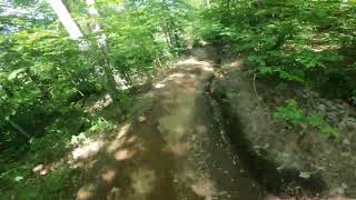 MSS Bike Park Piste Simple Pleasure et Bark Wagon