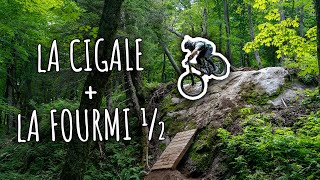 La Cigale and half of La fourmi ! - New trails...