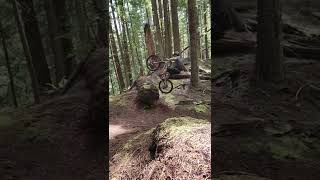 Bunnyhop the log