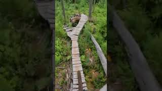 Rolling down that ladder #shorts onecutmedia