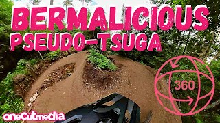Bermalicious Psuedo-Tsuga in 8K 360 Video  ...
