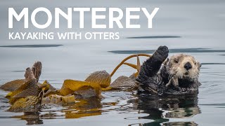 Monterey Bay | Kayak with Sea Otters