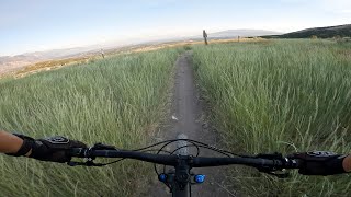 The Bored Life - Absolutely Perfect day for a...