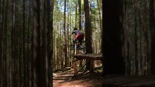 Must take flight. Even on the E-Bike #shorts...
