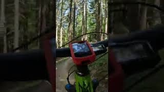 Cimone Bike Park