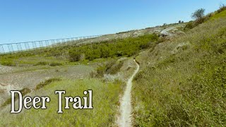 DEER TRAIL, 2022 (RAW RIDE) Lethbridge Alberta...
