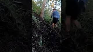 Building a trail #shorts #asmr #soothing...