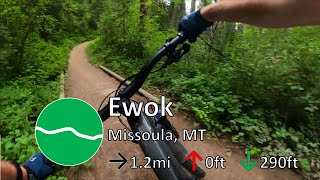 Ewok - The Rattlesnake - Missoula, MT