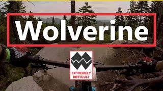 Orbea Rise M20: Wolverine - Sentier du Moulin