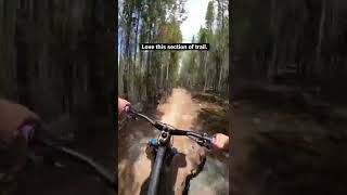 Flying Through The Trees On My MTB