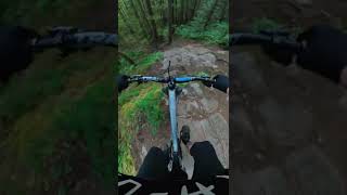 That. Is. Steep.