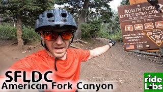South Fork Little Deer Creek (SFLDC/Joy) in...
