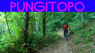 MTB Monti Pisani 16.07.2022 sentiero PUNGITOPO
