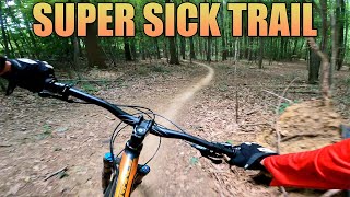 Dickerson Mine Preserve NJ MTB