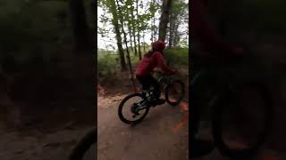 This is a blue trail? • Little Switz Bike...