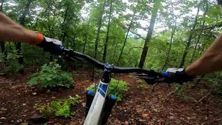 Jordies Trail Coldwater Mountain