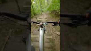 One of my favorite sections from a local...