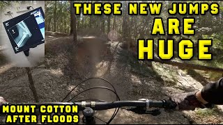 West Mount Cotton is more GNARLY then ever!