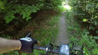 Branardopotok ( 'Krecik Road' Strava ) łatwy...