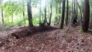 Shredding in South Cork