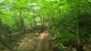 Mont SM Piste Brake Manon