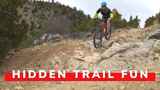 Exploring New Trails On My Salsa Timberjack...