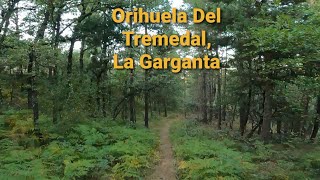 Senda del Arroyo de la Garganta, Orihuela del...