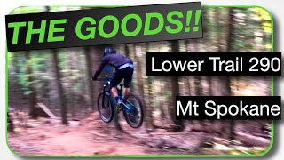 Rooty & ROWDY | Lower 290 'THE...