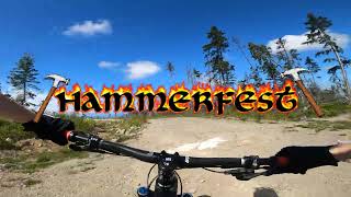 lil hammerfest rip (Swashbuckler)