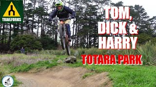 Tom Dick and Harry- Totara park. Trail forks...