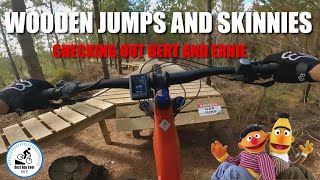 Wooden Jumps and skinnies. Checking out Bert...