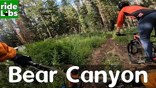 Bear Canyon Conditions