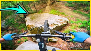 We Need More Trail Features Likes These!