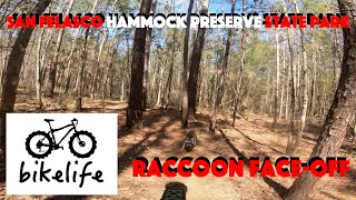 Mountain Biking San Felasco Hammock Preserve...