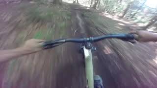 Wheelerville trails - live free and fly