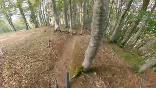 Chierroni - Abetone Gravity Park
