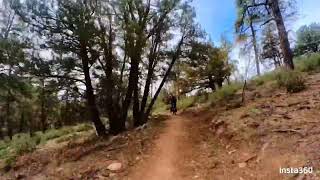 Noodle loop trail #760