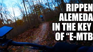 Alemeda Park Flow Trails and singletrack