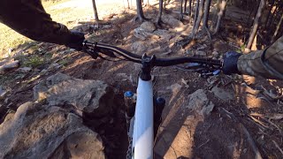 Rooty Pebbles aka Trail P at Snowshoe Bike Park