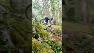 Dropping In