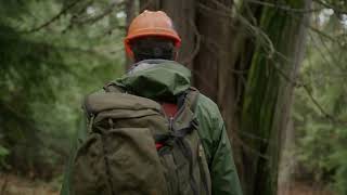 Mxiɬp (Cedar)Trail