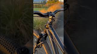 Custom MTB Dirt Jump Bike #shorts