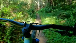 Full Monty | Sonoma Coast State Park