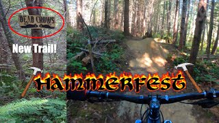 New Trail & 30 Degree Weather - Hammerfest...