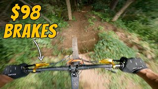 AMAZON BRAKES vs. STEEP DOWNHILL TRAILS